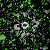 a white flower is surrounded by green leaves on a black background