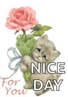 For You Cute Cat GIF - For You Cute Cat Cat GIFs