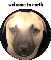a picture of a dog with the words welcome to earth on it