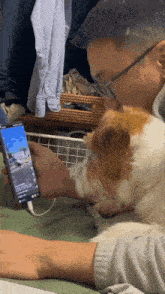 a man holding a cell phone while a dog looks on