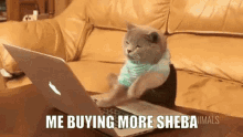 Buying More Sheba Crypto GIF - Buying More Sheba Crypto GIFs