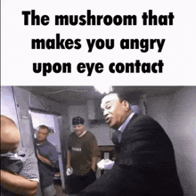 the mushroom that makes you angry upon eye contact is a meme