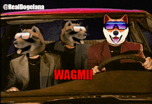 three dogs wearing sunglasses are driving a car with wagmi written on the screen