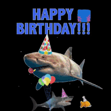 Shark Birthday Underwater GIF - Shark Birthday Underwater Shark GIFs