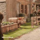 a pig with a crown on its head is standing in front of a stone building