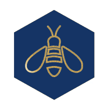 health natural icon bee honey