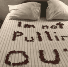 bed pull out roses sexy