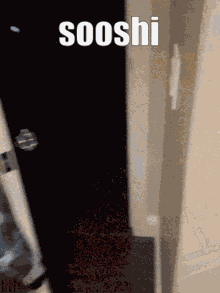 Sooshi GIF - Sooshi GIFs