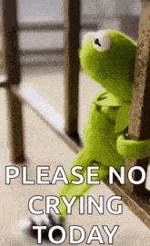 kermit the frog is sitting on a railing with the words `` please no crying today '' written on it .