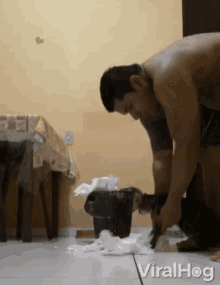 Clean Up Mess GIF - Clean Up Mess Kitten GIFs