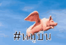 หมูบิน ตลก หมูมีปีก GIF - Flying Pig Pig GIFs