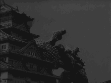 Godzilla Anguirus GIF - Godzilla Anguirus Godzilla Raids Again GIFs