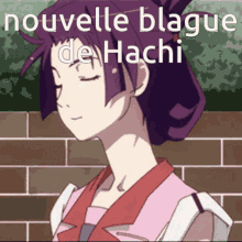Fc Monogatari Anime Girl GIF - Fc Monogatari Anime Girl Hachi GIFs