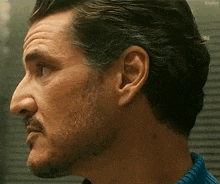 a close up of a man 's face with a mustache and beard .