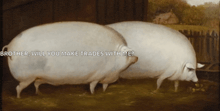 a painting of two pigs with the words brother will you make trades with me below them