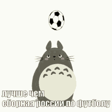 тоторо футбол сборная россии спорт мяч GIF - Totoro Footballl Ball GIFs