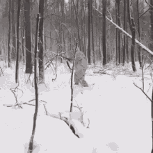 Winter Hunting Boar GIF