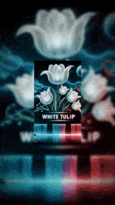 a poster for the album white tulip shows a bunch of white flowers