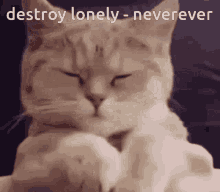 Neverever Destroy Lonely Neverever GIF - Neverever Destroy Lonely Neverever GIFs