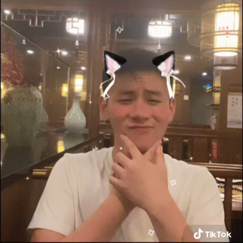 Sad Cat Dance Sean GIF - Sad Cat Dance Sean - Discover & Share GIFs