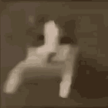 Cat Cute GIF - Cat Cute Reach Out GIFs