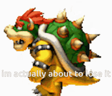 bowser spin speeen what a funny lmao