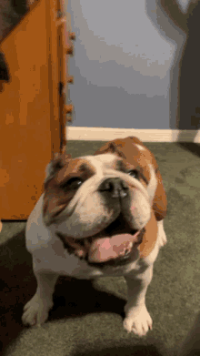 GIF