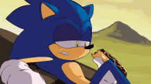 Sonic Sonic The Hedgehog GIF - Sonic Sonic The Hedgehog Chilidog GIFs