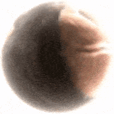 sphere orb