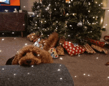 a dog laying under a christmas tree with gifts under it