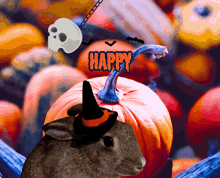 Halloween Bunny GIF - Halloween Bunny GIFs