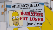 Homer Simpson GIF - Homer Simpson Loser GIFs