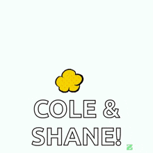 a happy birthday greeting card with the name shane on it