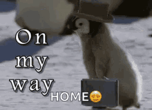 On My Way Omw GIF - On My Way Omw Baby Penguin GIFs