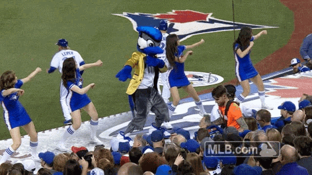 Toronto Blue Jays Ace GIF - Toronto Blue Jays Ace Dancing - Discover &  Share GIFs