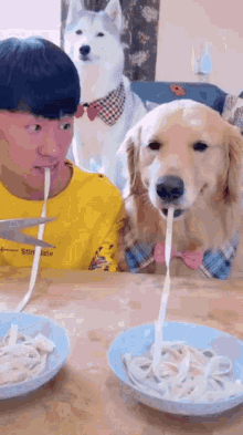 Dogs Hungry GIF - Dogs Hungry Noodles GIFs