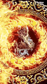 a dragon is surrounded by flames and a video logo