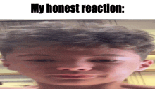 My Honest Reaction My Honest Reaction Meme GIF
