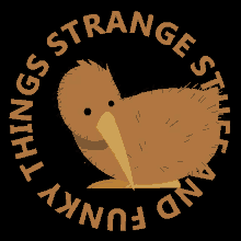 strange stuff and funky things ssaft pierre kerner kiwi oeuf