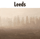Leeds Slander GIF - Leeds Slander Wall-e GIFs