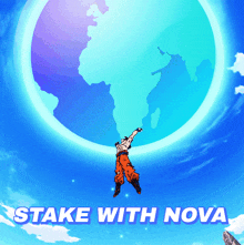 nova cardano nova earth nodes ada stake with nova