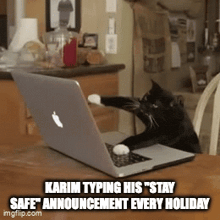 a black cat sitting in front of an apple laptop