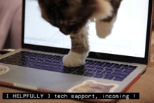 a cat 's paw is on the keyboard of a laptop with the words helpfully tech support incoming