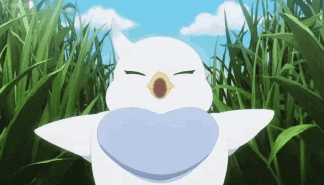 sillycattle873 pure white forpus bird cute wonderfull background