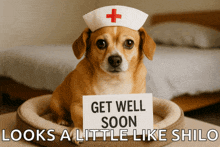 a dog wearing a nurse 's hat holds a sign that says get well soon