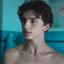 timothee chalamet actor elio call me by your name