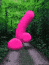 a pink penis is driving down a road in a forest .