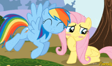 a picture of rainbow dash and fluttershy from my little pony friendship is magic
