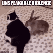 Unspeakable Violence Rabbit GIF - Unspeakable Violence Rabbit Cute GIFs