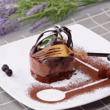 a white plate topped with a chocolate dessert with a fork